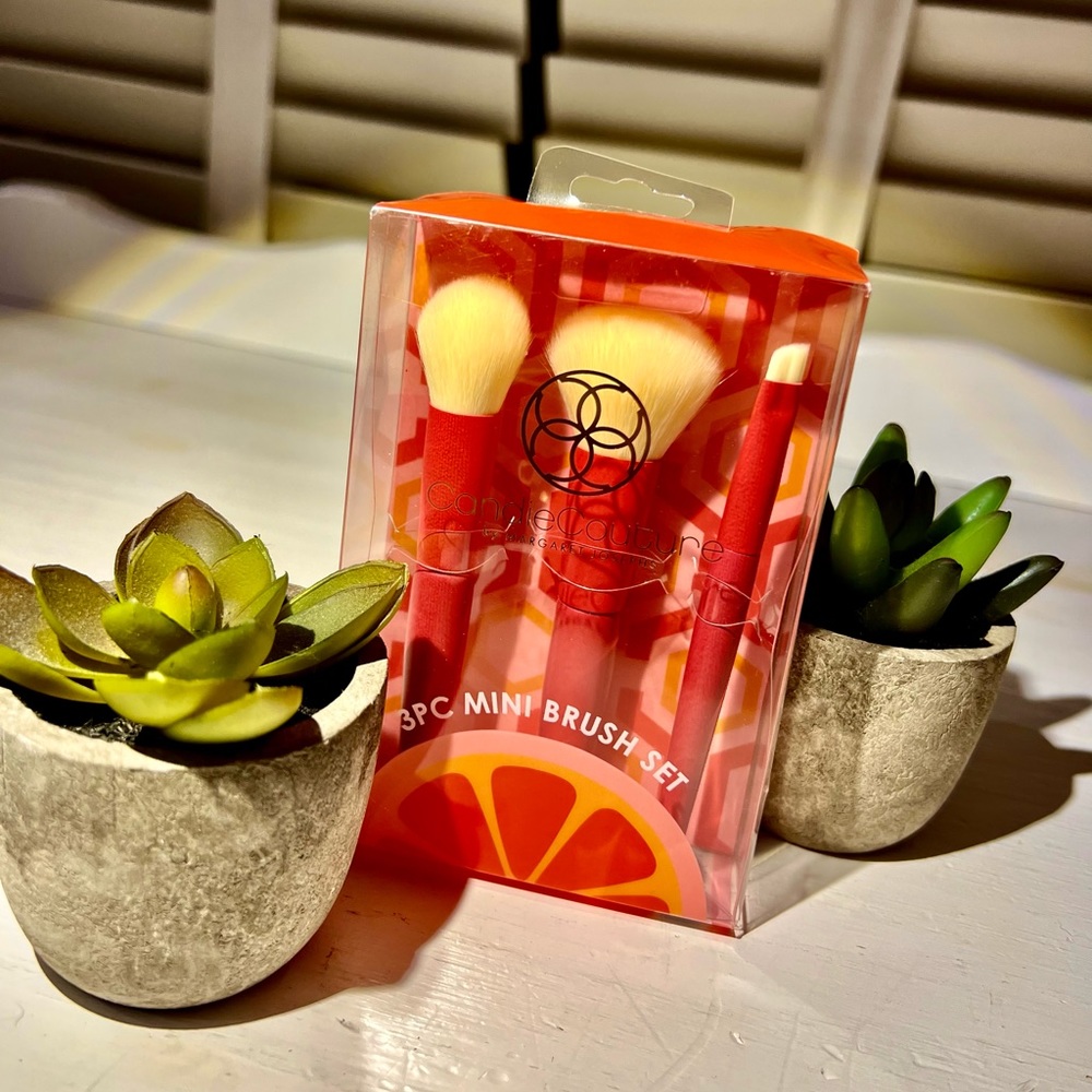 3PC MINI BRUSH SET